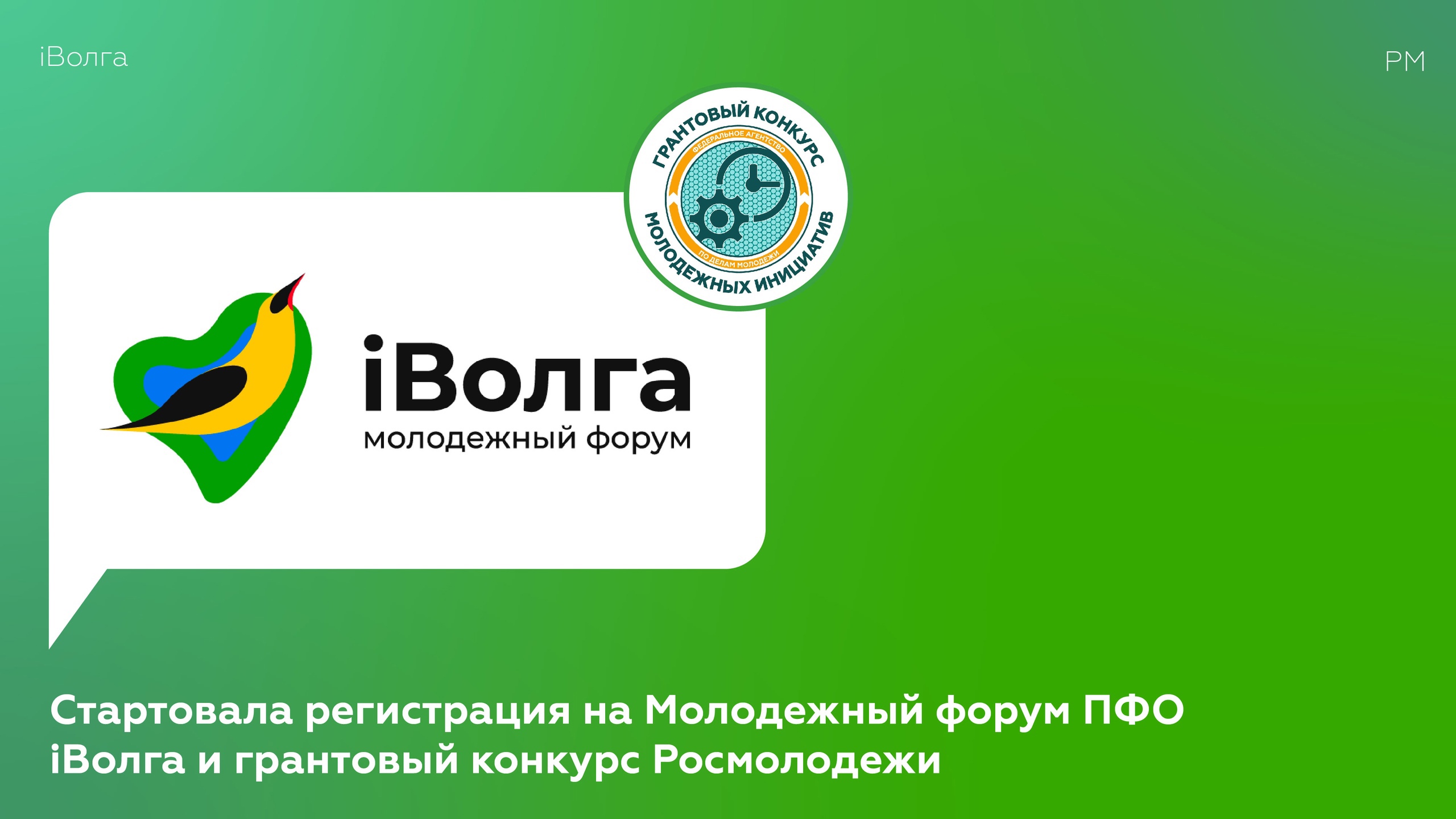 Иволга самара. Iволга форум. Молодежный форум ПФО «Iволга». Iволга 2021. Иволга логотип.